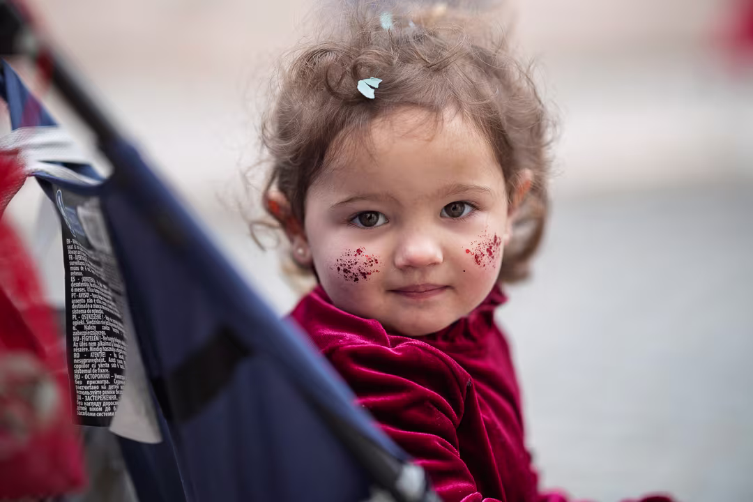 20260216-_DSC9376 null