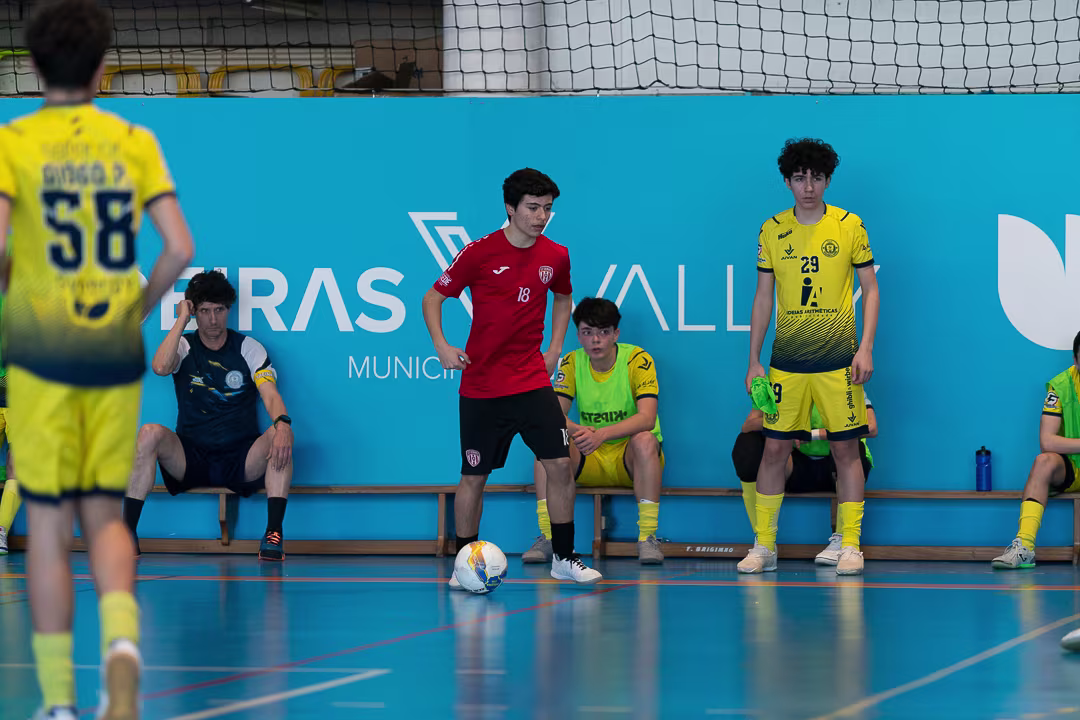 20260222-_DSC4850 null