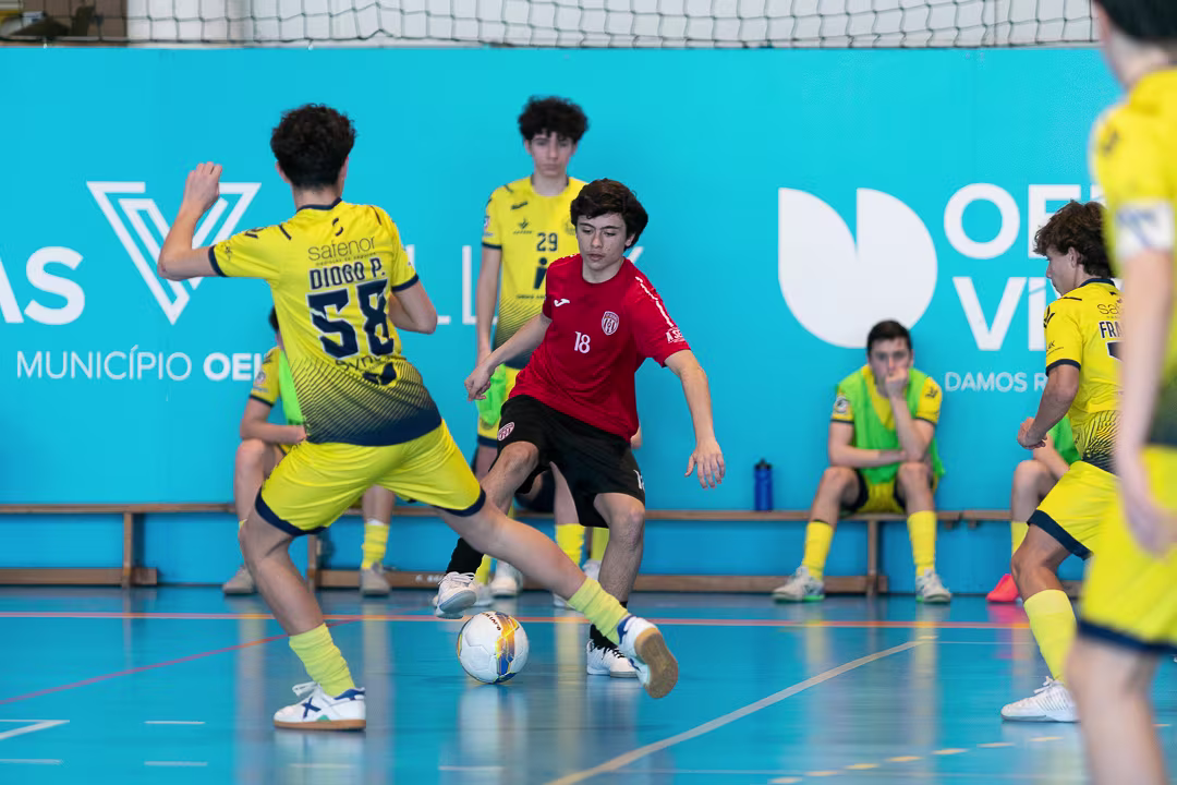 20260222-_DSC4864 null