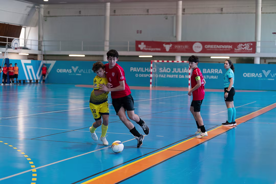 20260222-_DSC4910 null