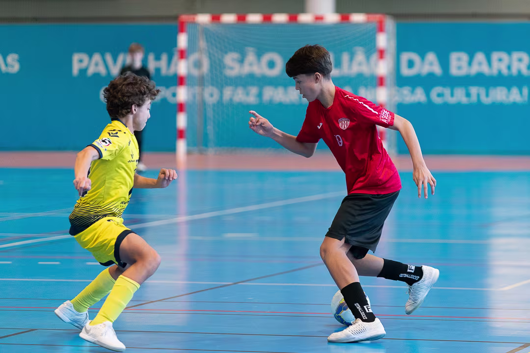 20260222-_DSC4996 null